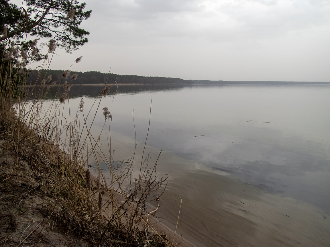 Национальный парк "Нарочанский", image of landscape/habitat.