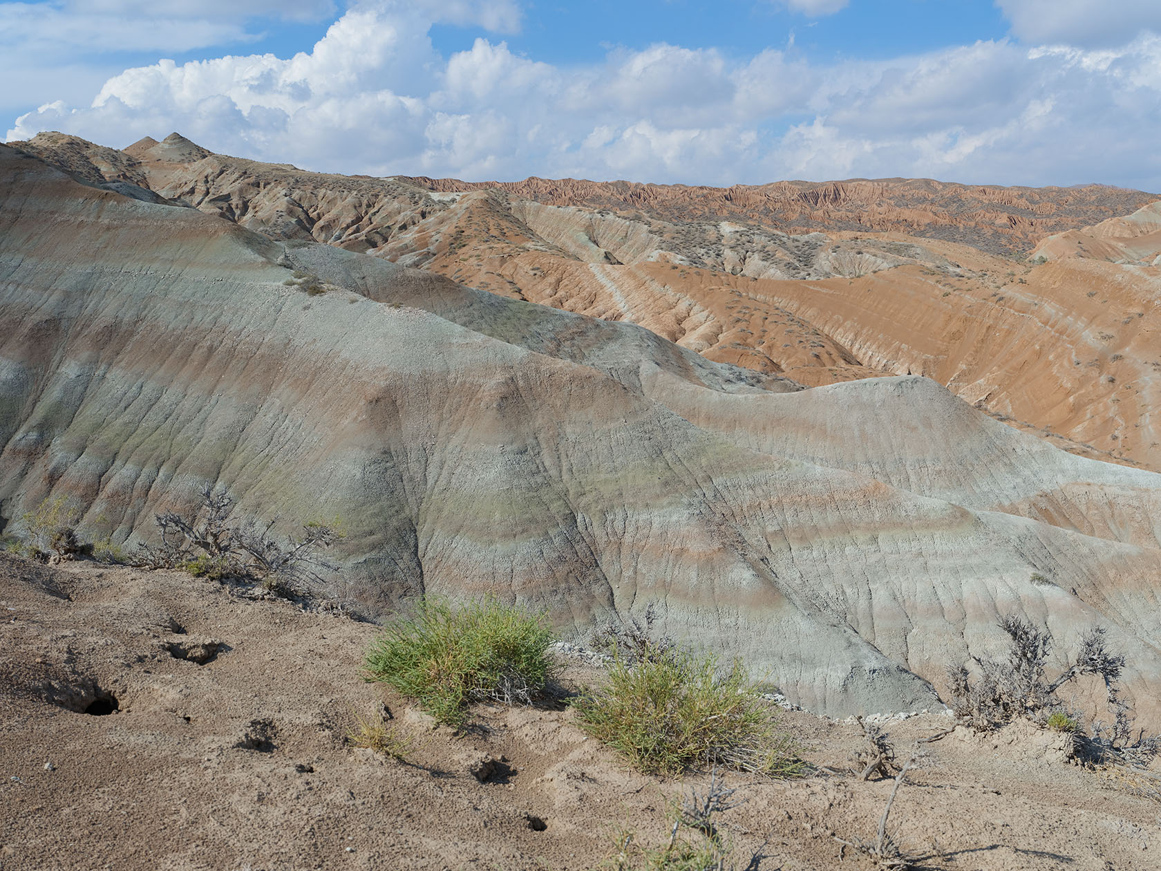 Долонтау, image of landscape/habitat.