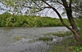 Галичья гора, image of landscape/habitat.