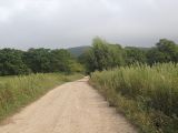 Image of landscape