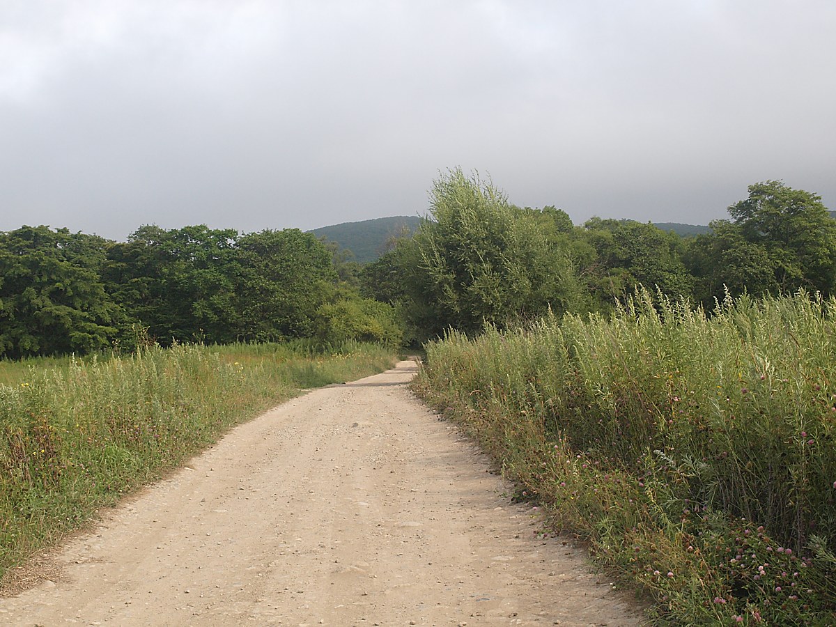 Милоградово, image of landscape/habitat.