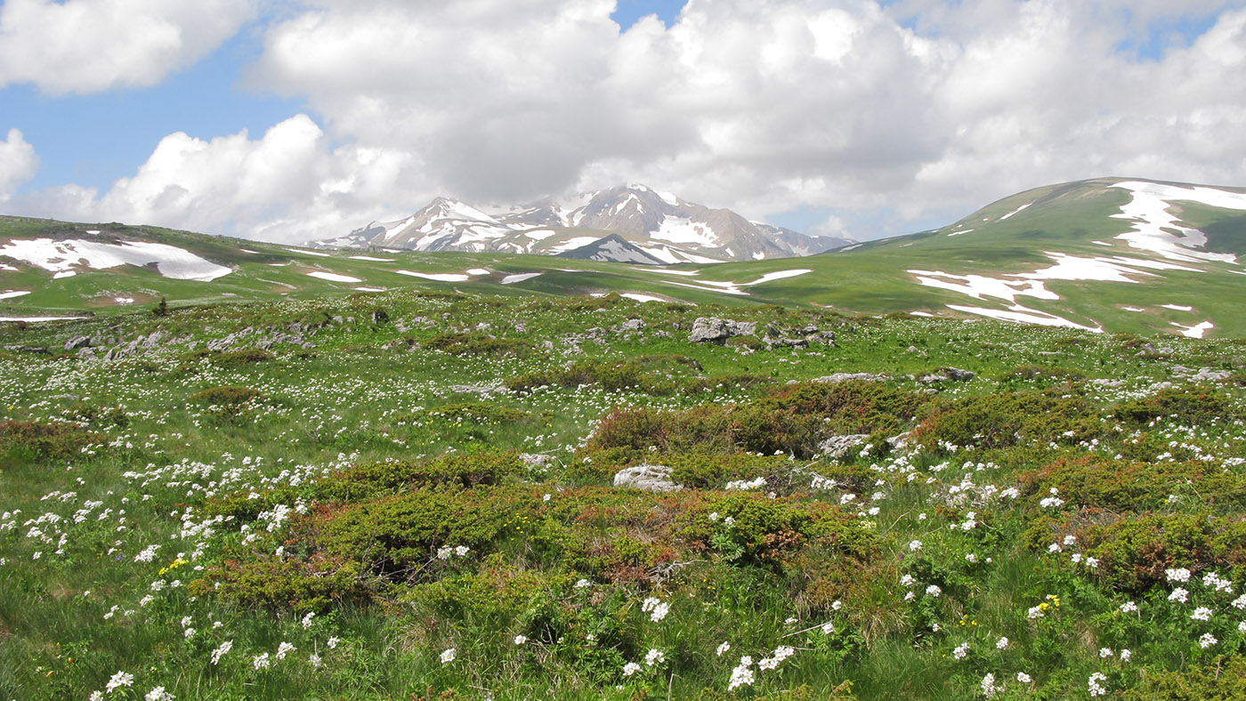 Абадзешский перевал, изображение ландшафта.