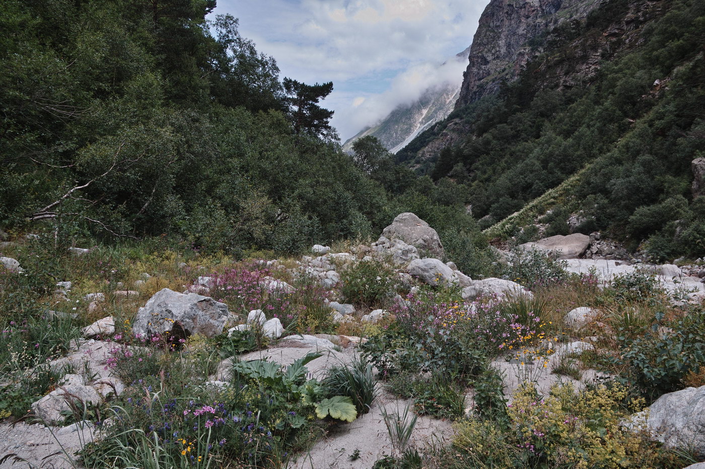 Дыхсу, image of landscape/habitat.