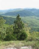 Image of landscape