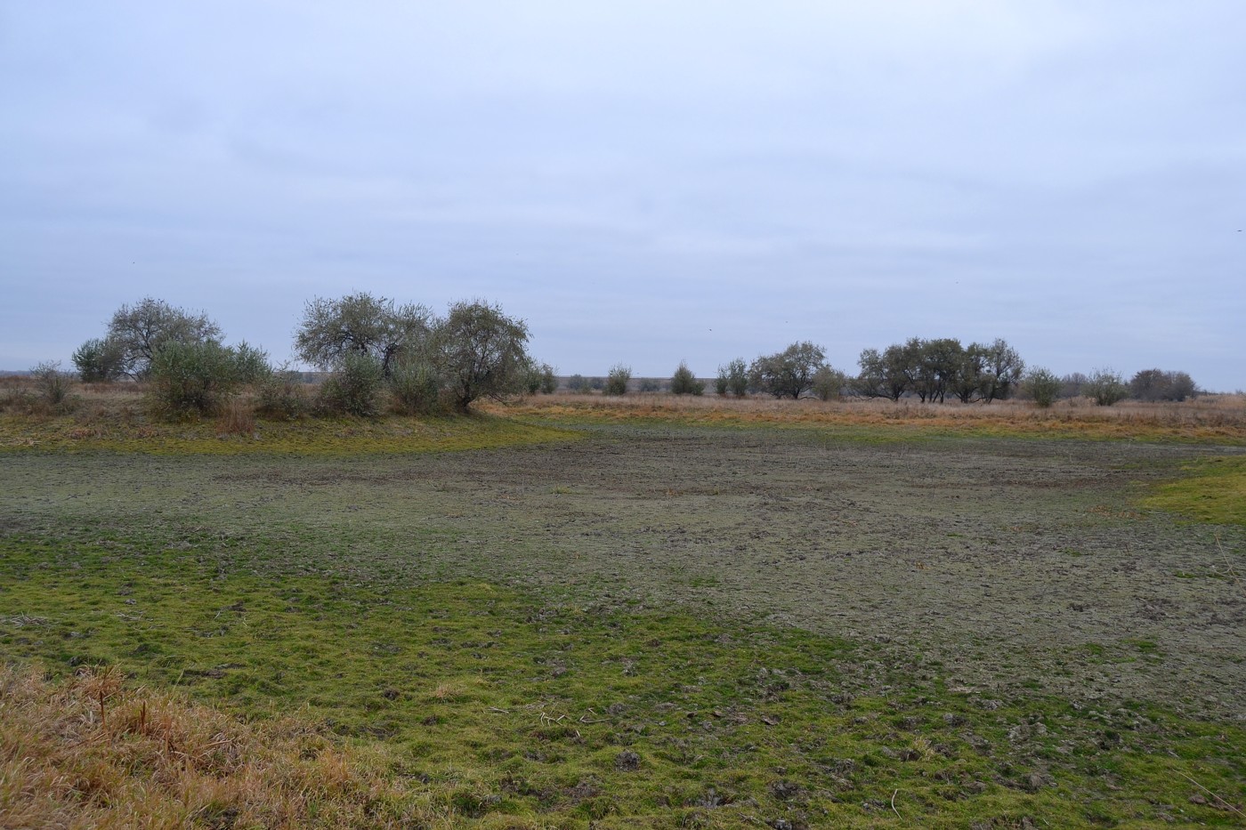 Дельта (средняя зона), image of landscape/habitat.