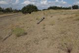 Image of landscape