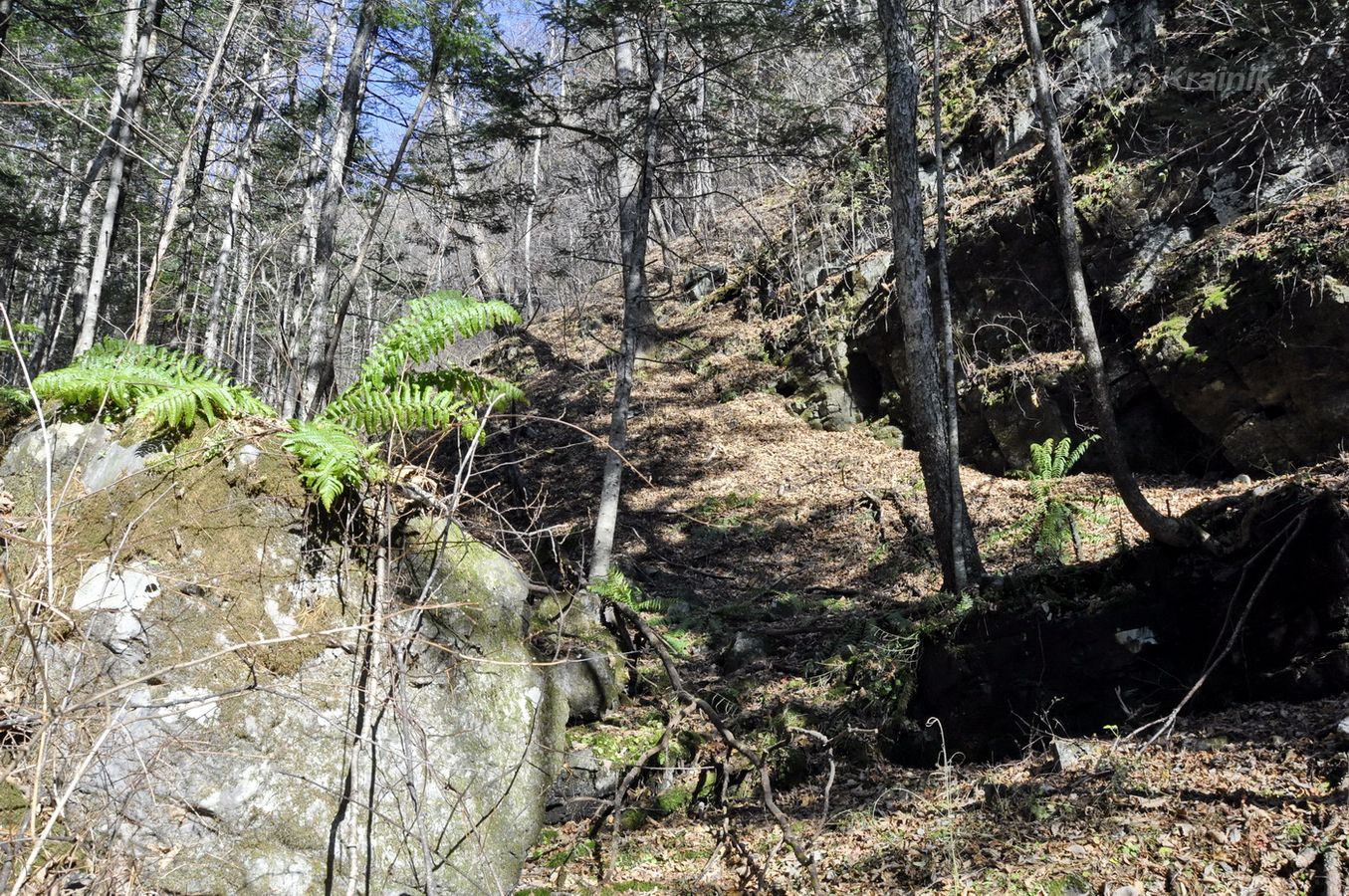 Анисимовка, image of landscape/habitat.