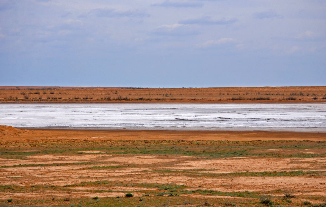 Пески Кос-Кызыл, image of landscape/habitat.