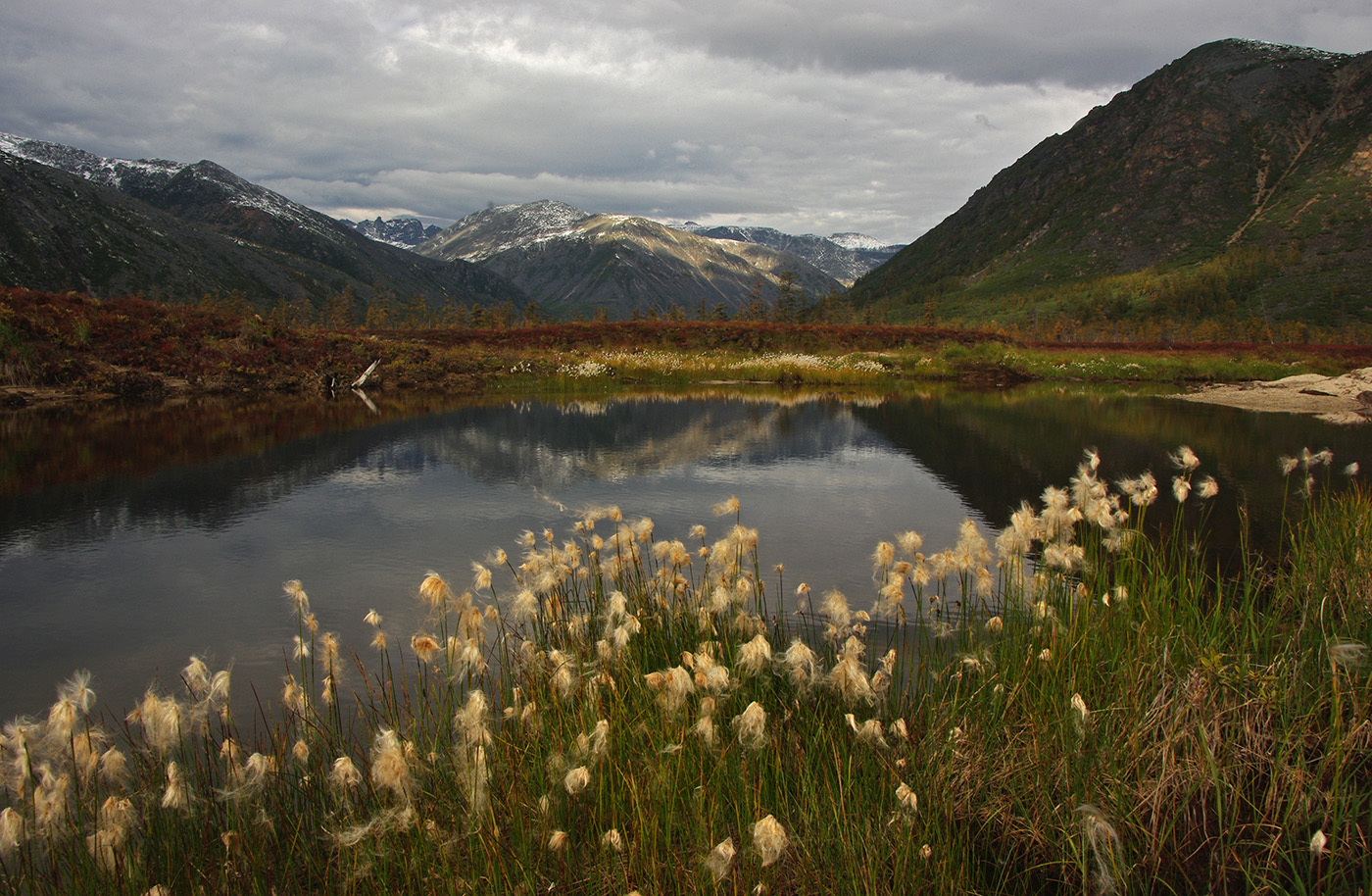 Озеро Джека Лондона, image of landscape/habitat.