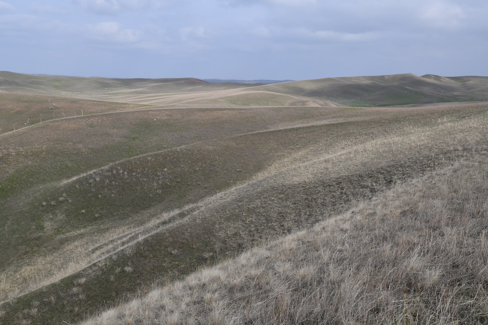 Унгыртас, image of landscape/habitat.