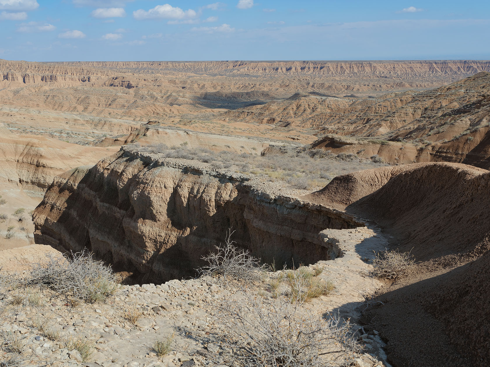 Долонтау, image of landscape/habitat.