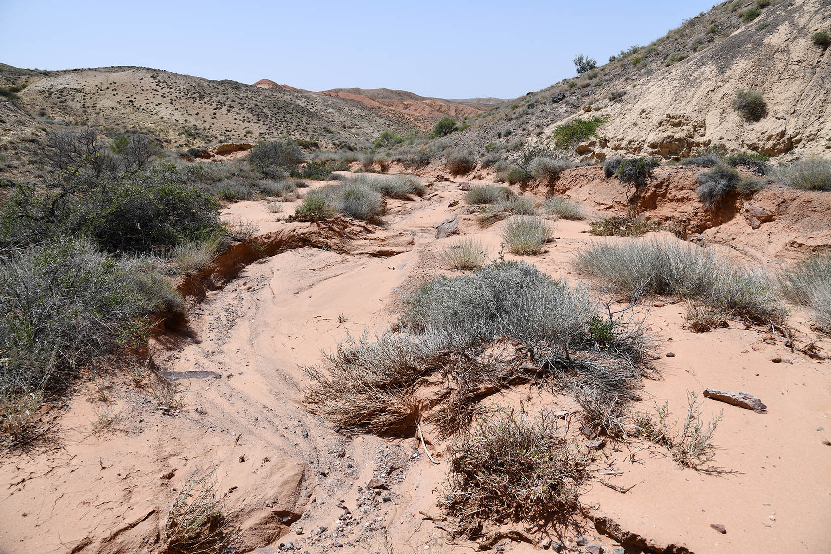 Бала-Богуты, image of landscape/habitat.