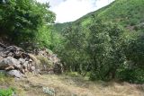 Image of landscape
