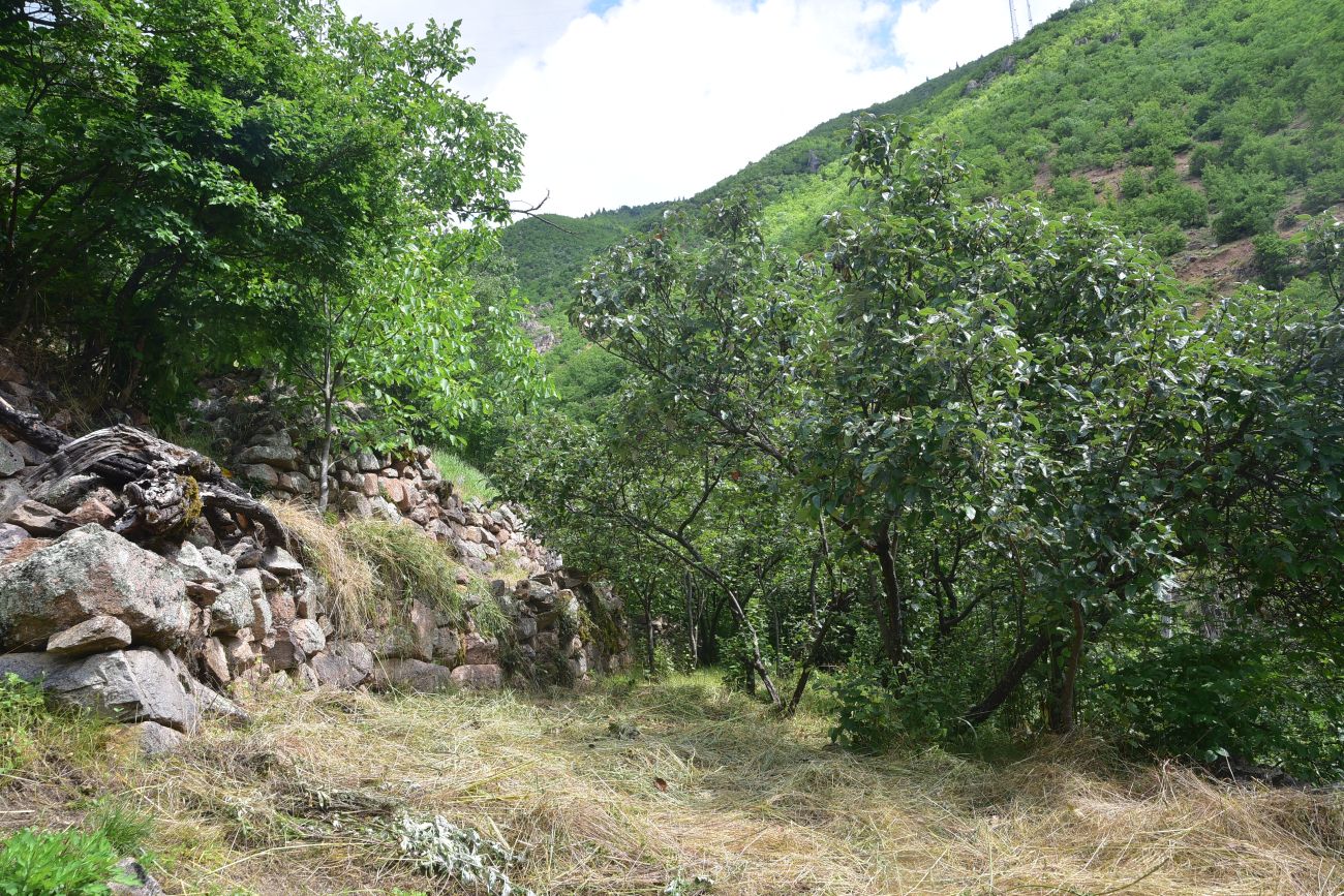 Окрестности деревни Баглик, image of landscape/habitat.