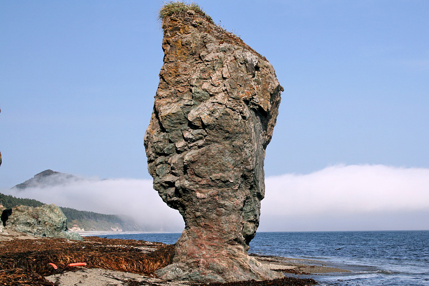 Мыс Великан, image of landscape/habitat.
