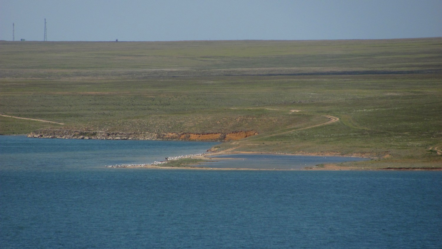 Донузлав, image of landscape/habitat.