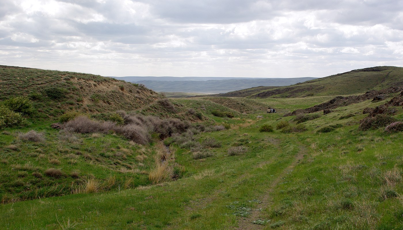 Бесарык, image of landscape/habitat.