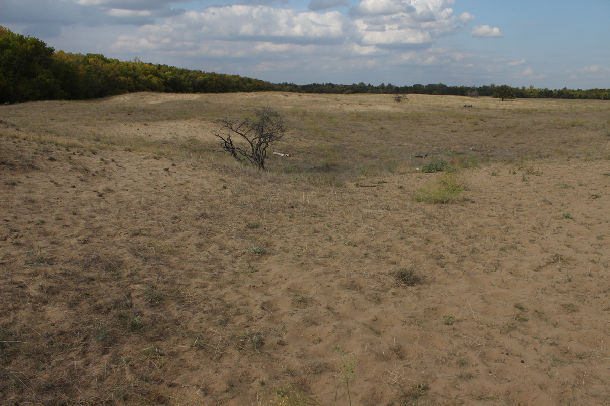 Остров Сарпинский, image of landscape/habitat.