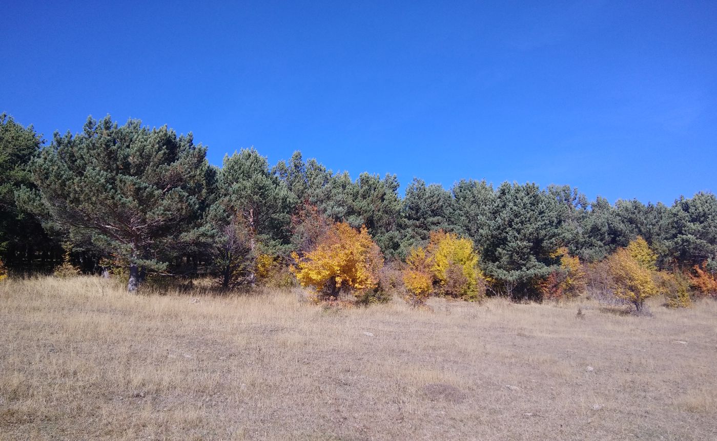 Гора Патара Абули, изображение ландшафта.