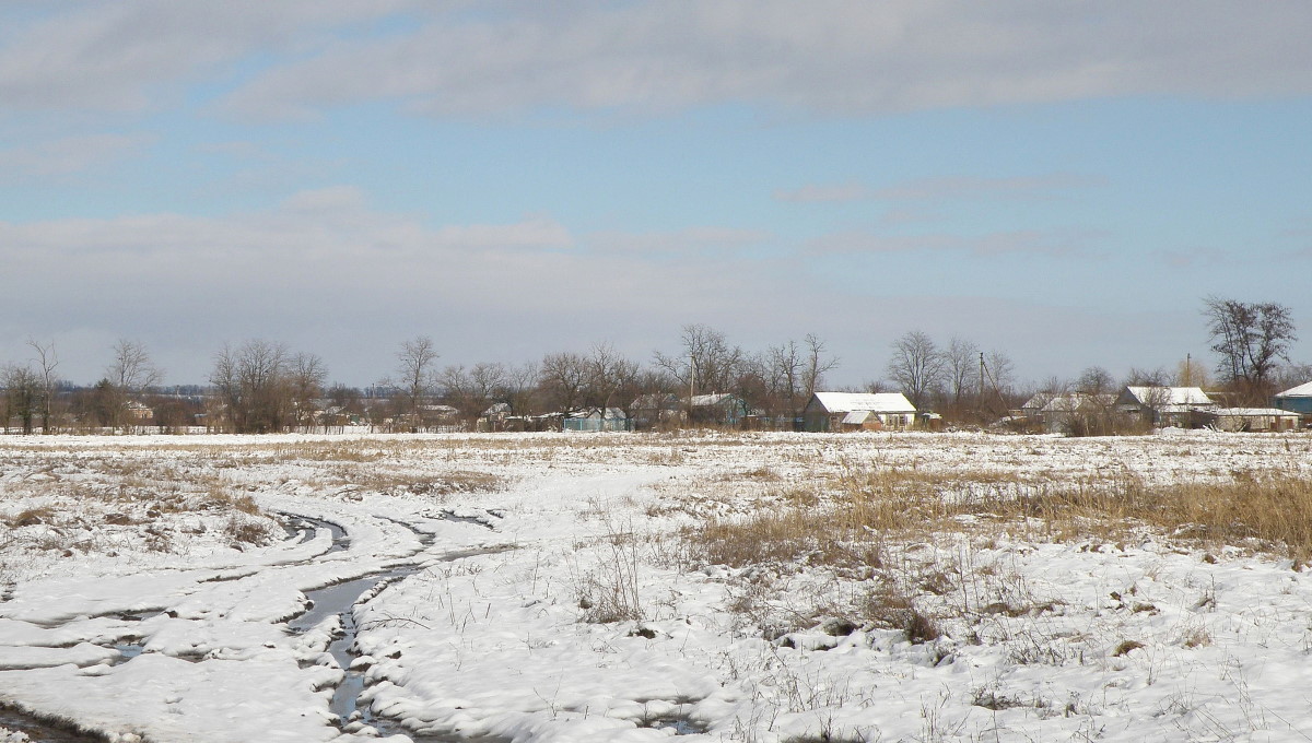 Станица Шкуринская, image of landscape/habitat.