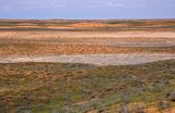 Пески Кос-Кызыл, изображение ландшафта.
