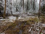 Национальный парк "Нарочанский", image of landscape/habitat.