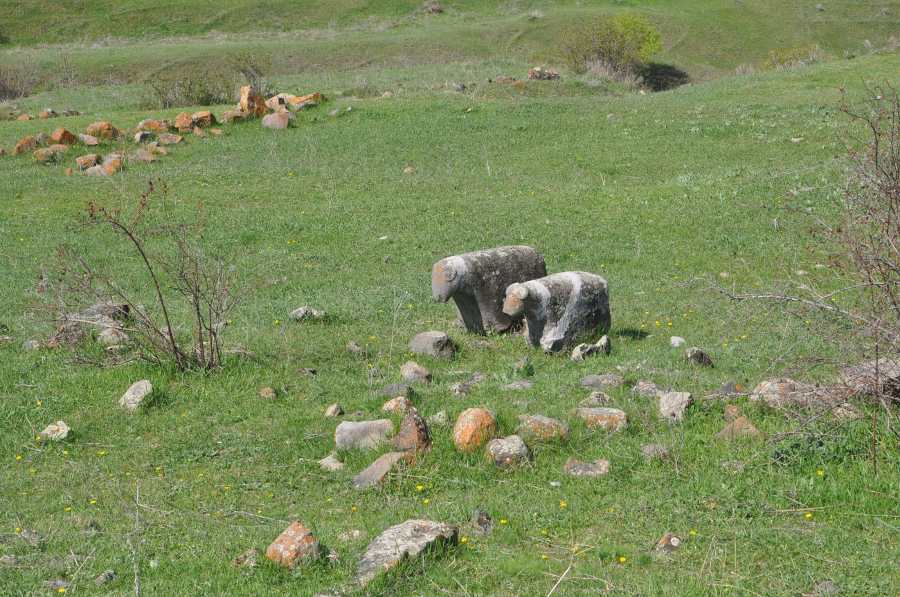 Окрестности урочища Мусхи, image of landscape/habitat.