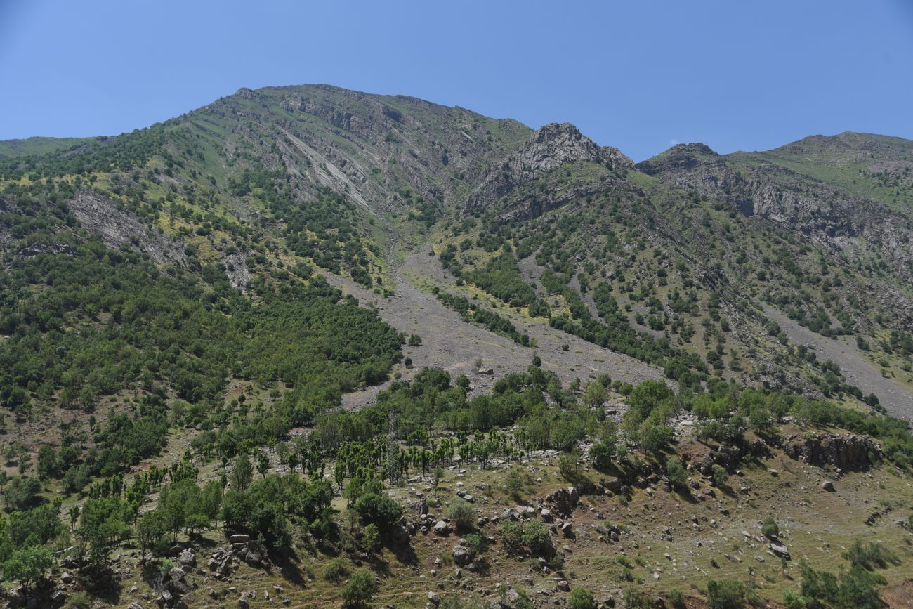 Гюзельдери, image of landscape/habitat.