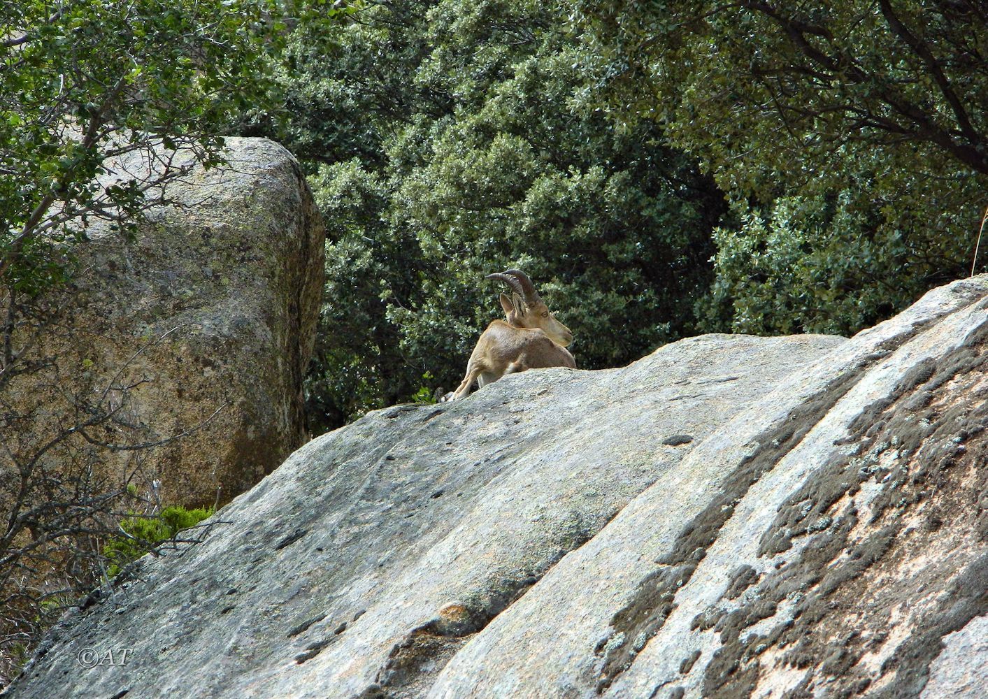 Долина ручья Уэртос (Huertos), изображение ландшафта.