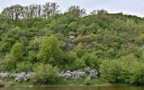 Галичья гора, image of landscape/habitat.