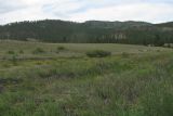 Гусиноозёрск, image of landscape/habitat.