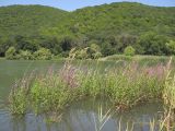 Гора Круглая, image of landscape/habitat.