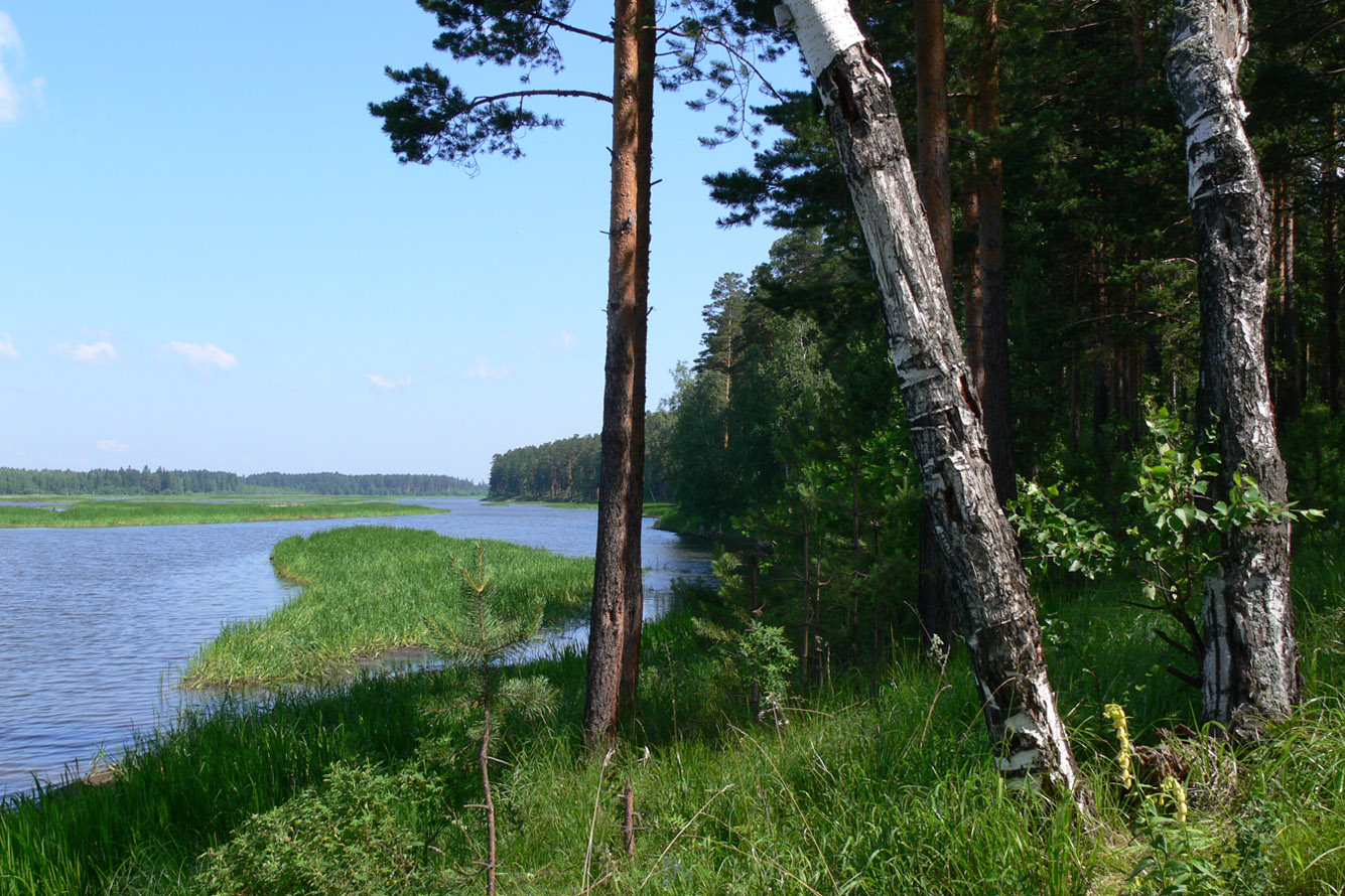 Курганово, image of landscape/habitat.