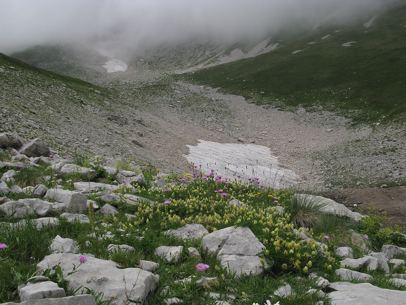 Юго-восточный отрог Оштена, image of landscape/habitat.