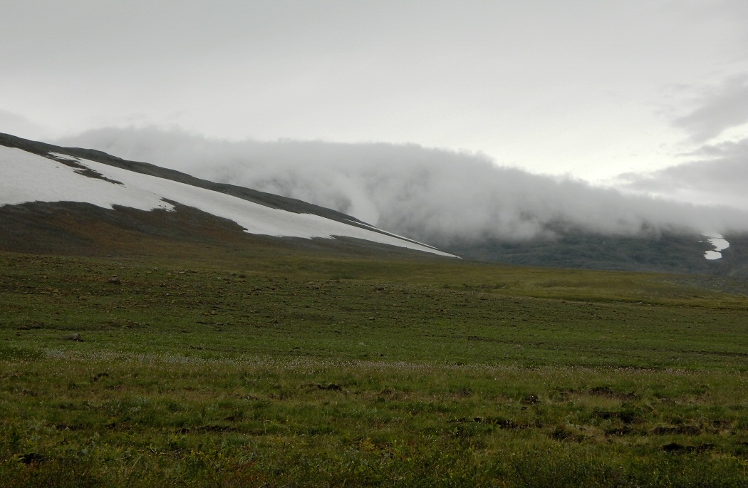 Изшор, image of landscape/habitat.