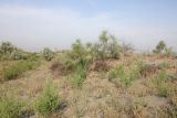 Image of landscape