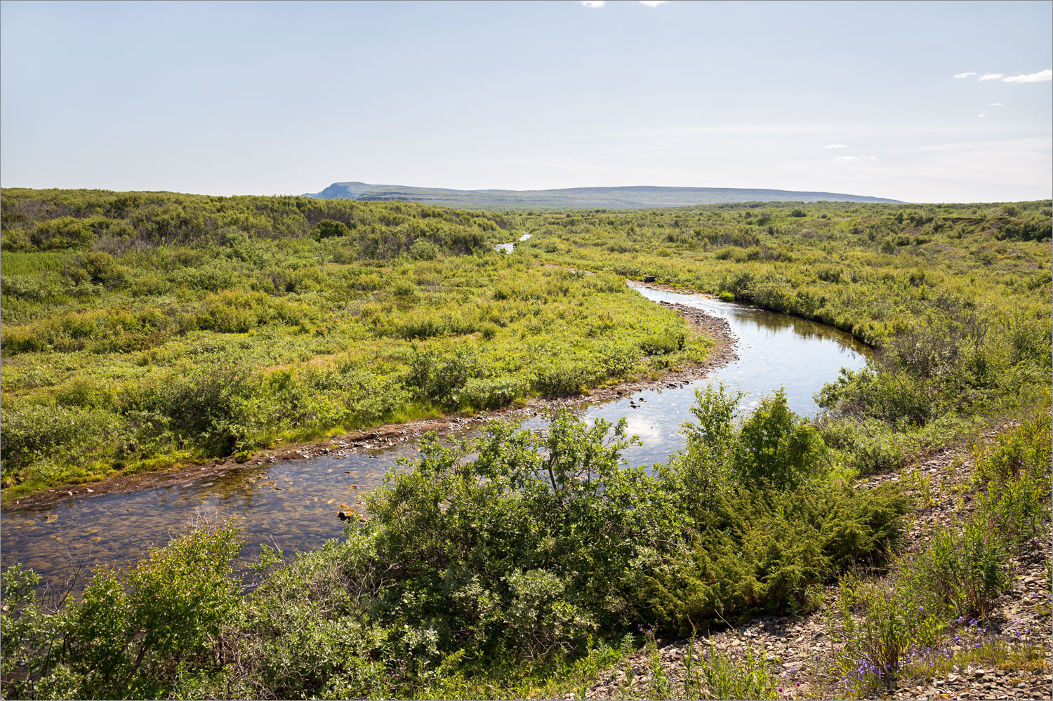 Устье Выката, image of landscape/habitat.