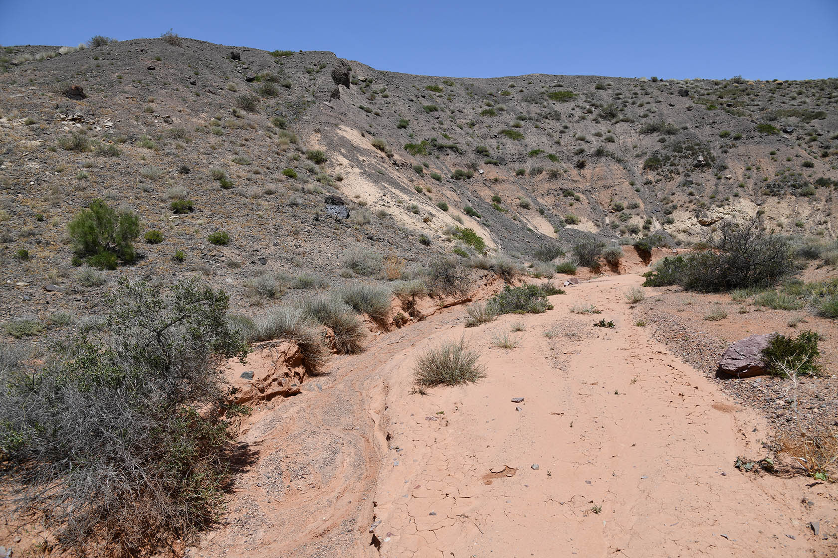 Бала-Богуты, image of landscape/habitat.