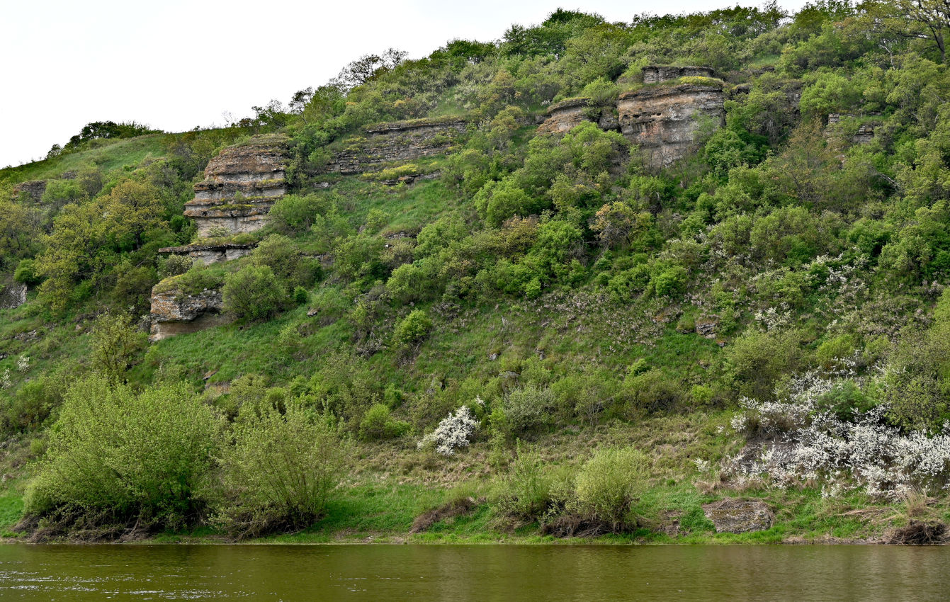 Галичья гора, image of landscape/habitat.