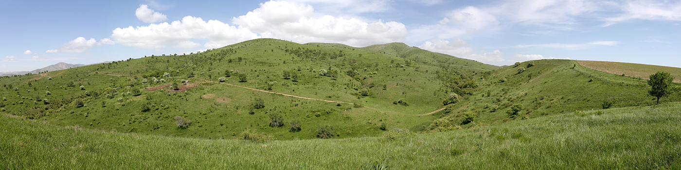 Горы Кокбулак, image of landscape/habitat.