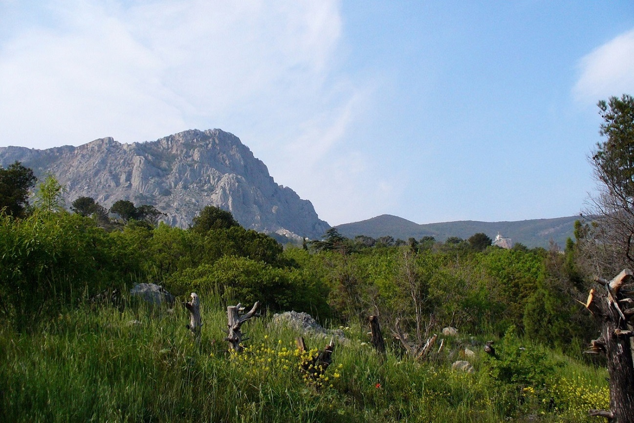 Форос и его окрестности, image of landscape/habitat.