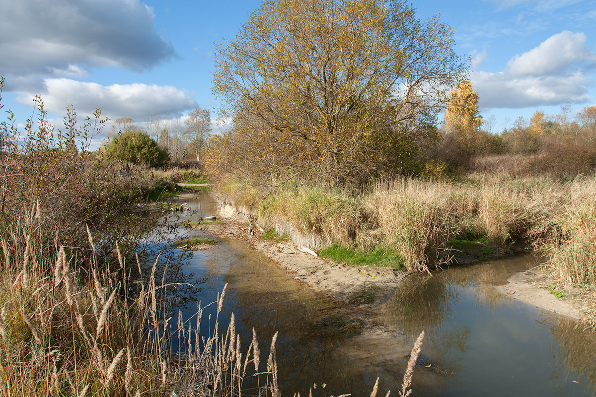 Окрестности Пудости, image of landscape/habitat.