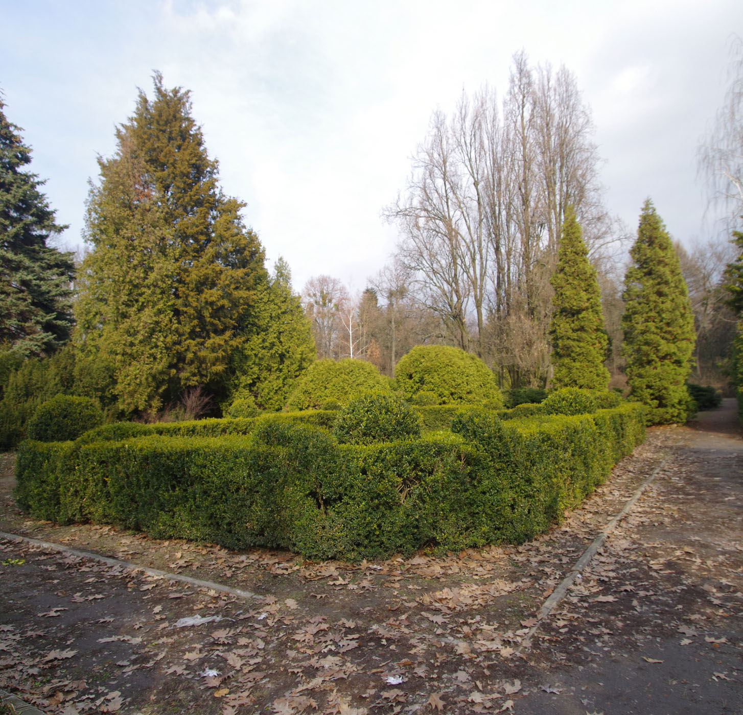 Дендропарк Сырец, image of landscape/habitat.