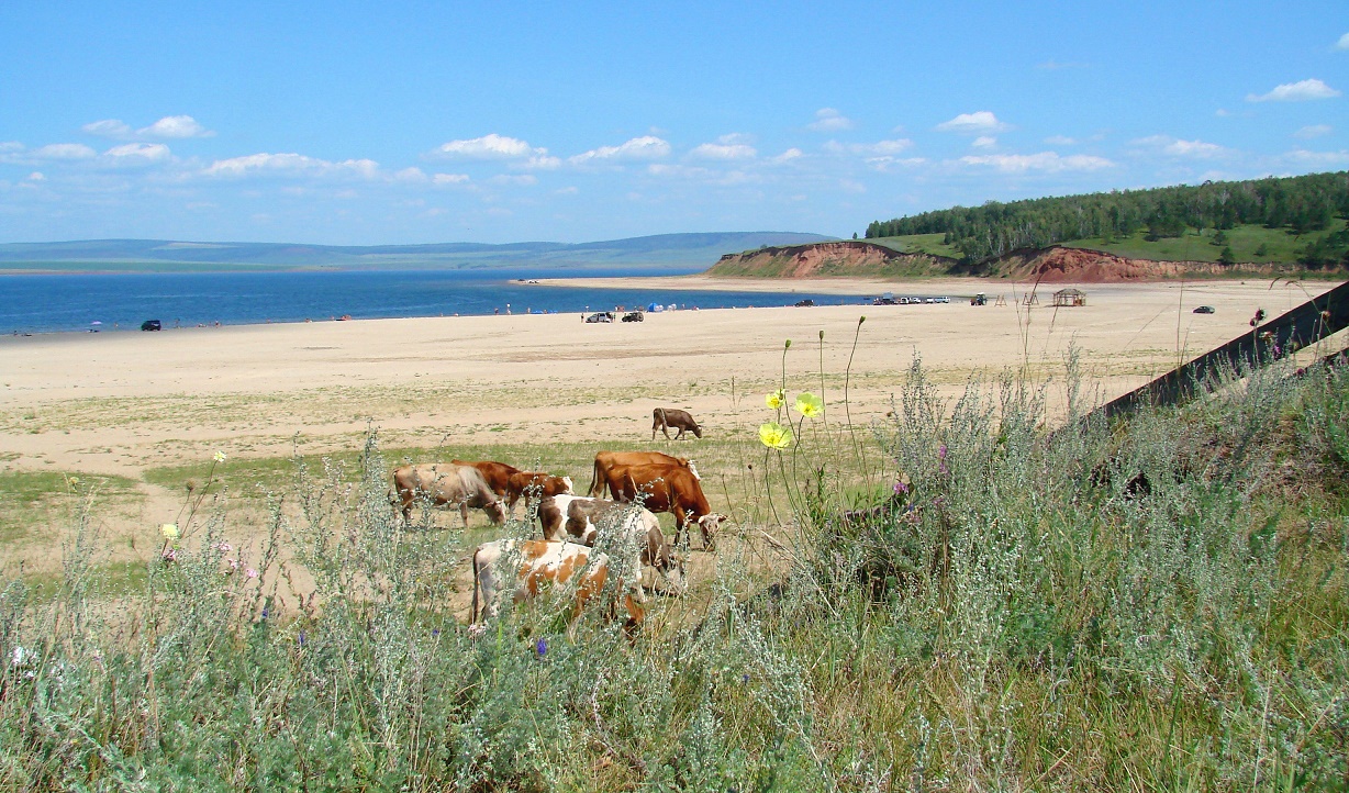 Золотые Пески, image of landscape/habitat.