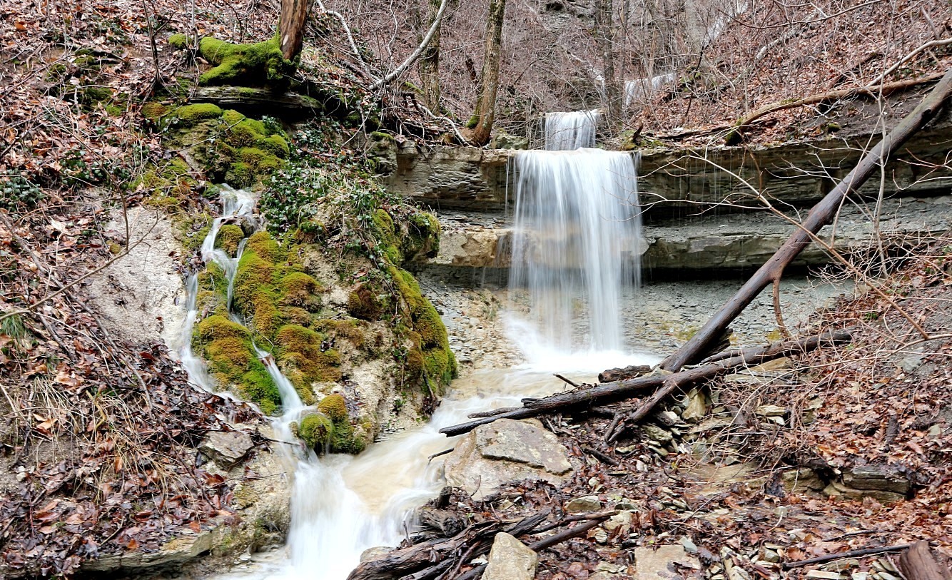 Долина реки Жанэ, image of landscape/habitat.