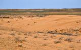 Пески Кос-Кызыл, изображение ландшафта.