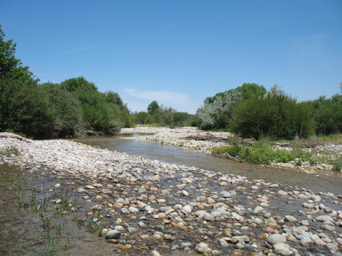 Асса, image of landscape/habitat.