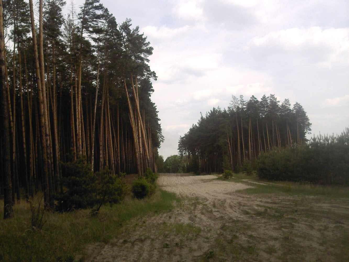 Новодоновский заказник, image of landscape/habitat.