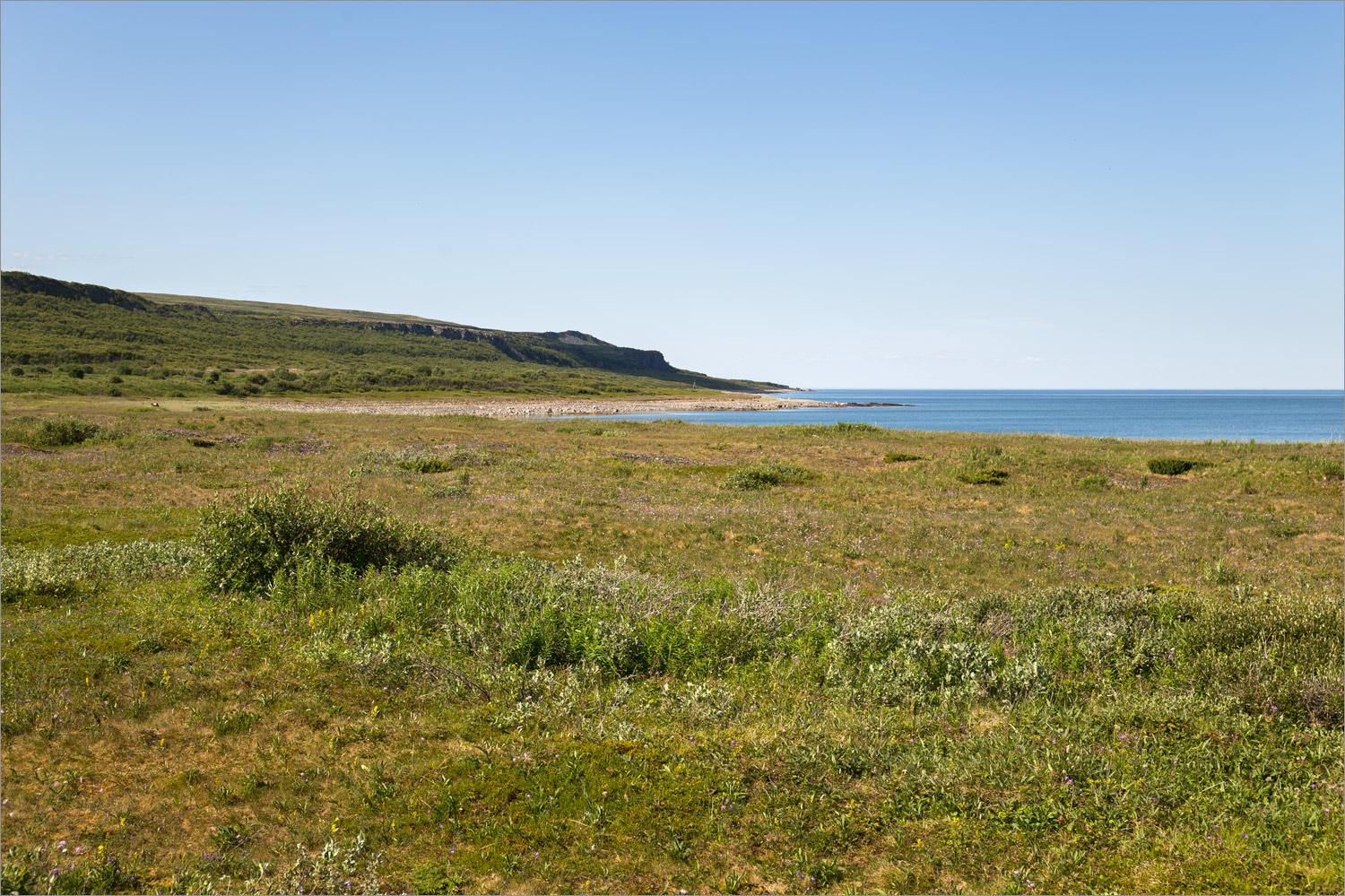 Устье Выката, image of landscape/habitat.