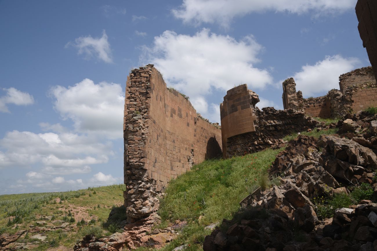 Окрестности бывшего города Ани, image of landscape/habitat.